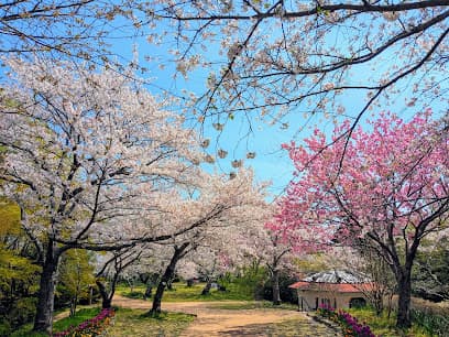 白野江植物公園