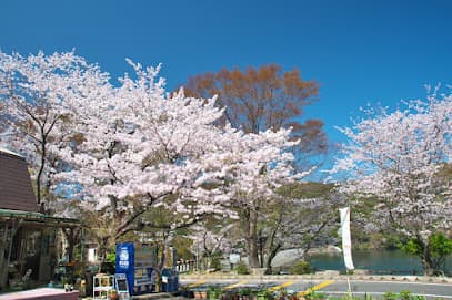 深坂自然の森