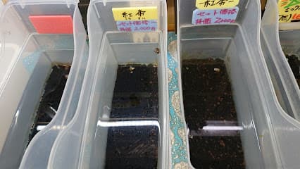 北浦名産·中浜市場